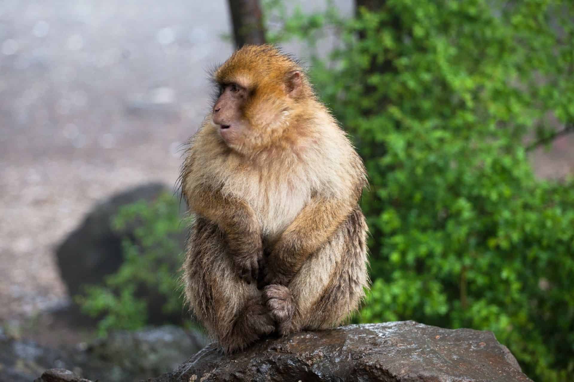 3 Days from Fes to Marrakech 3 Days from Fes to Marrakech