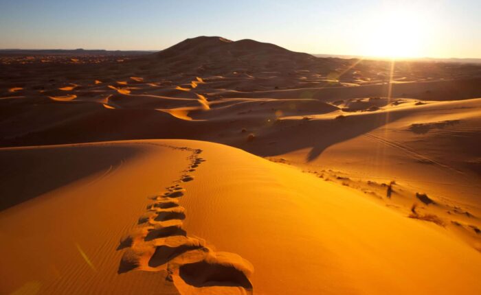 Día a Volubilis y de Fez