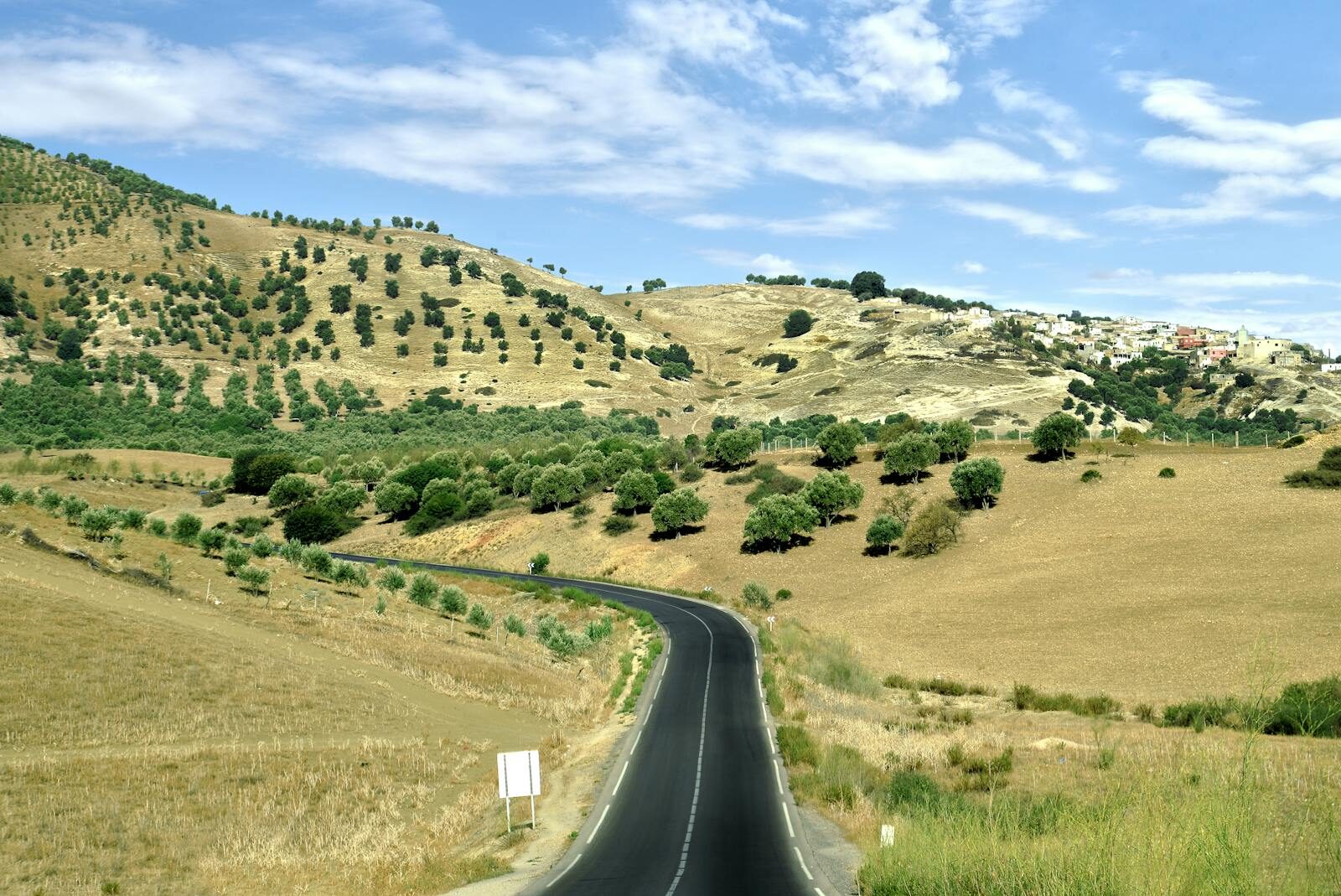 Curved road through picturesque hills and olive groves in Fès-Meknès, Morocco.