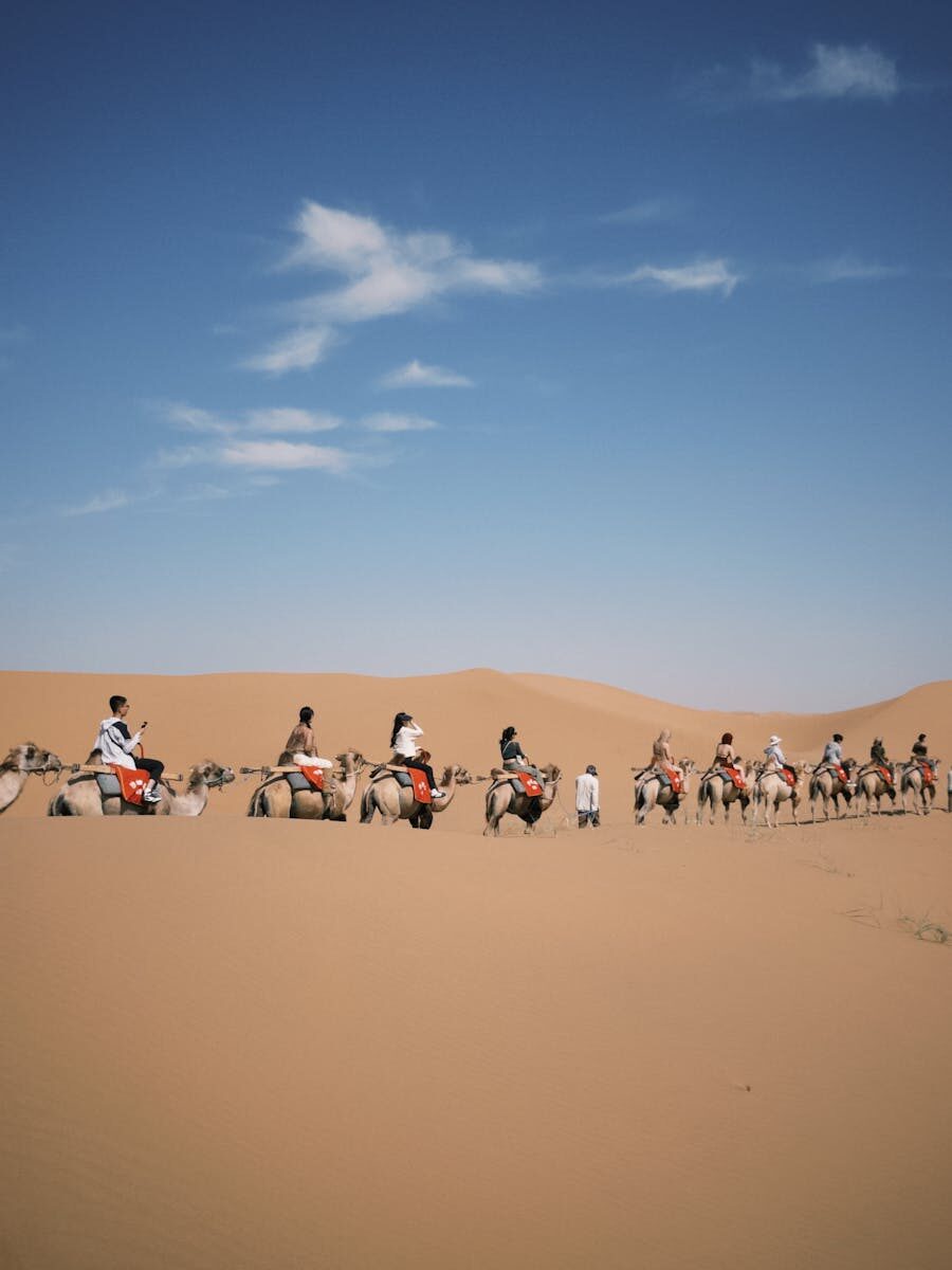 A group of tourists ride camels through expansive desert sand dunes under a clear blue sky.