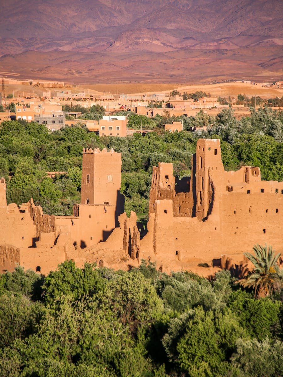 Explore the ancient mud brick architecture of a kasbah in Kalaat M'Gouna, surrounded by lush greenery.